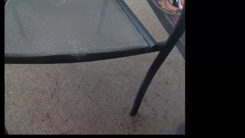 Snapshot of 10mm_socket chatting on September 2025 01:33:02 AM 10mm_socket online show from September 2025 01:33:02 AM