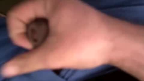 Snapshot of 12theose chatting on February 2026 10:30:02 AM 12theose online show from February 2026 10:30:02 AM