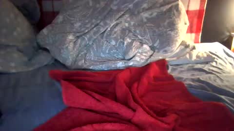 Snapshot of 17revox chatting on January 2025 07:43:01 PM 17revox online show from January 2025 07:43:01 PM