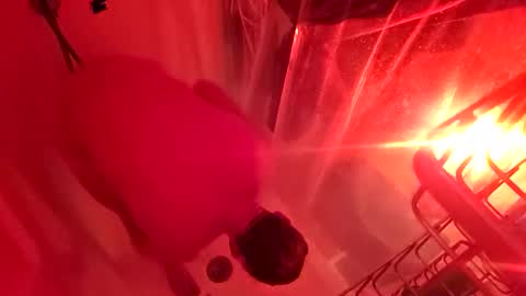 Snapshot of 1knightluver69 chatting on March 2026 08:59:01 AM 1knightluver69 online show from March 2026 08:59:01 AM