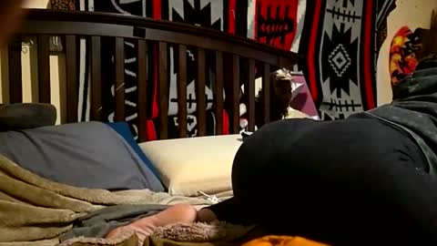 Snapshot of 1knightluver69 chatting on April 2026 08:44:02 AM 1knightluver69 online show from April 2026 08:44:02 AM