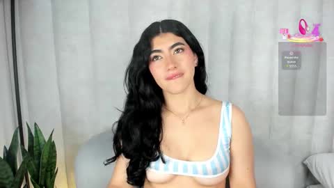  . online show from December 2025 10:17:02 PM