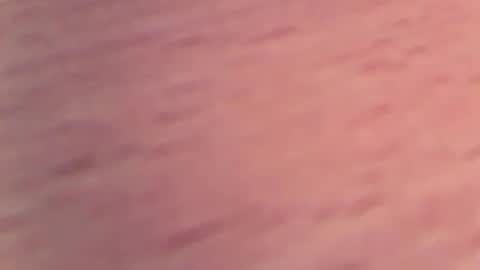 1vaso online show from February 2025 05:55:02 PM