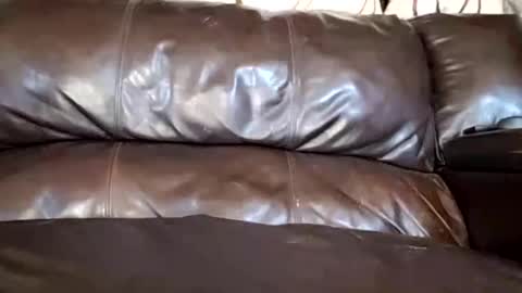 Snapshot of 24cockrings chatting on March 2025 06:30:01 PM 24cockrings online show from March 2025 06:30:01 PM