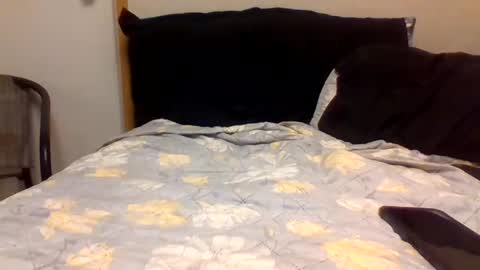 Snapshot of 2ccjbstar chatting on December 2024 12:07:01 AM BlacJewels online show from December 2024 12:07:01 AM