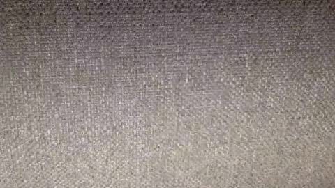 30nick online show from February 2026 07:25:01 AM