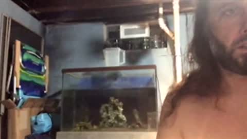 Snapshot of 33adidas chatting on November 2025 08:48:02 AM 33adidas online show from November 2025 08:48:02 AM