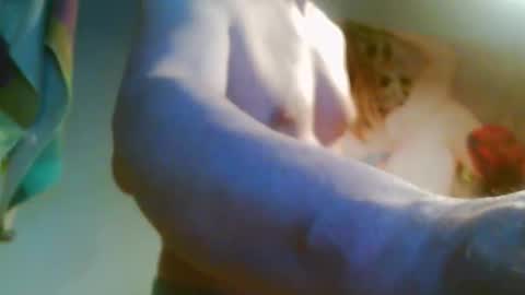 Snapshot of 41bigdick41 chatting on April 2026 03:45:01 PM 41bigdick41 online show from April 2026 03:45:01 PM