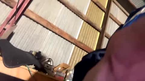 420danny online show from February 2025 03:44:02 AM