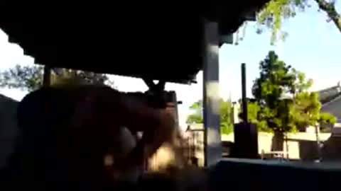 Snapshot of 420dick420707 chatting on March 2026 01:20:01 AM 420dick420707 online show from March 2026 01:20:01 AM