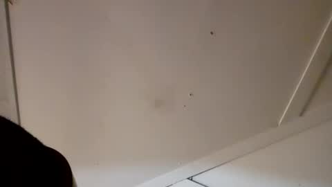 4j_n online show from April 2026 02:39:01 AM