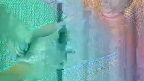 Daddy online show from October 2025 04:51:02 PM