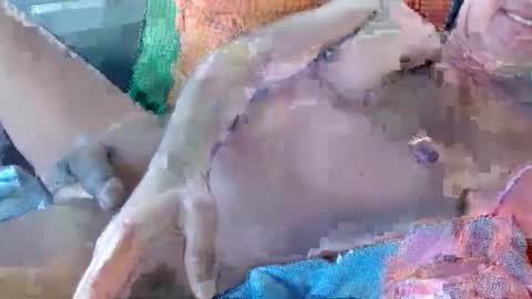 Daddy online show from November 2025 10:59:02 PM