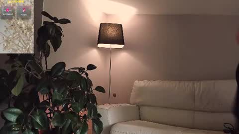 Sunshine online show from July 2026 04:38:01 AM
