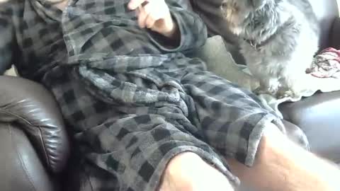 Snapshot of 66bear chatting on December 2024 04:43:02 PM 66bear online show from December 2024 04:43:02 PM