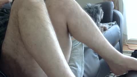 Snapshot of 66bear chatting on March 2025 12:45:01 PM 66bear online show from March 2025 12:45:01 PM