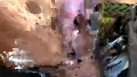 6990fiko online show from September 2025 09:47:02 AM