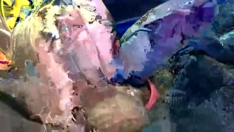 6990fiko online show from October 2025 11:58:02 AM