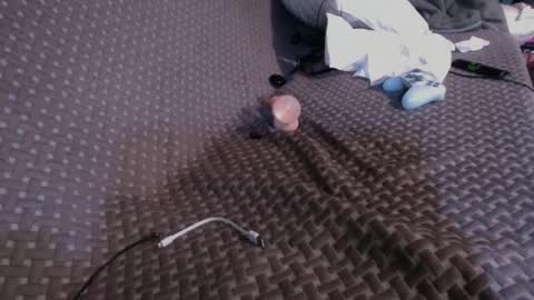 Chris online show from March 2025 04:53:01 PM