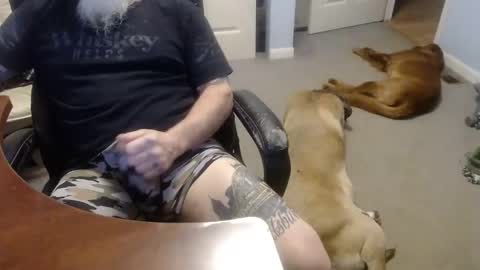 MASTIFF online show from October 2025 05:02:02 PM