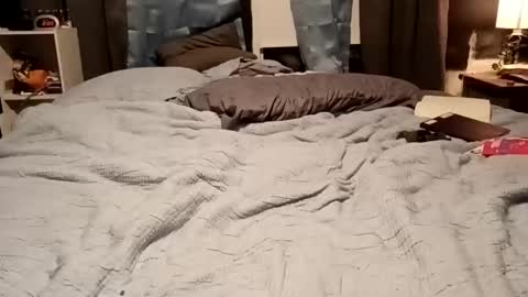 Snapshot of 7lairddip chatting on February 2026 07:51:01 AM 7lairddip online show from February 2026 07:51:01 AM