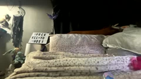 Snapshot of 88heygirlhey88 chatting on March 2026 02:57:01 PM That girl online show from March 2026 02:57:01 PM