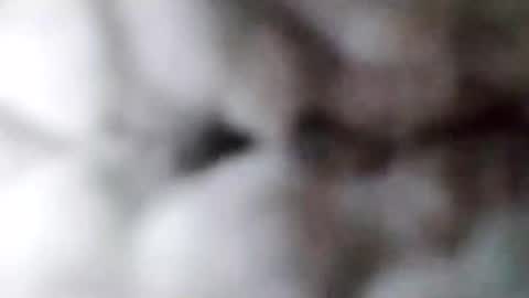 Snapshot of 88piterr88 chatting on February 2025 08:52:01 AM 88piterr88 online show from February 2025 08:52:01 AM