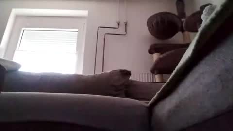 Snapshot of 88piterr88 chatting on February 2025 07:22:02 AM 88piterr88 online show from February 2025 07:22:02 AM