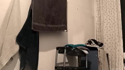 Snapshot of 88piterr88 chatting on February 2026 03:16:02 AM 88piterr88 online show from February 2026 03:16:02 AM