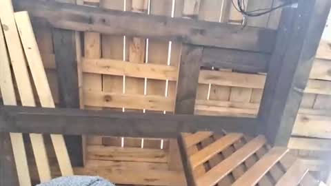 999mateo999 online show from October 2025 11:20:02 AM