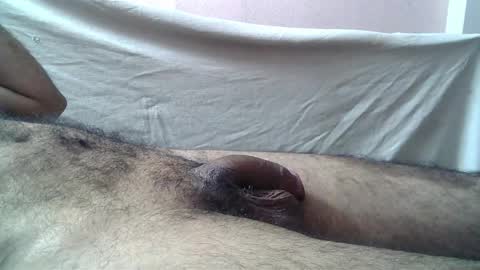 Snapshot of 9_incher_83 chatting on May 2026 01:11:02 AM Massive hungry cock online show from May 2026 01:11:02 AM