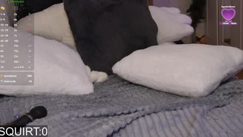 Alexa online show from January 2025 09:15:02 AM