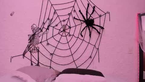 Alexander online show from October 2025 04:46:02 AM