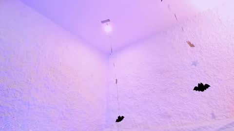 Alexander online show from October 2025 02:42:02 PM