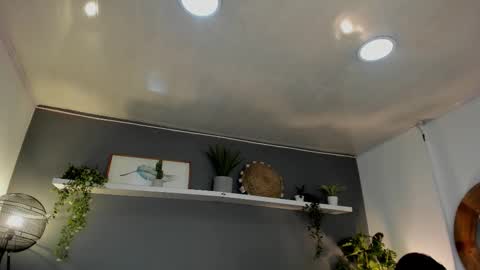 Snapshot of _aliice_1 chatting on February 2025 08:03:02 PM Alice online show from February 2025 08:03:02 PM