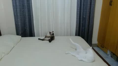 Amber online show from February 2025 05:03:02 PM