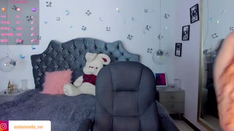 Snapshot of _antonnela_ chatting on January 2025 02:17:02 PM antonnela online show from January 2025 02:17:02 PM