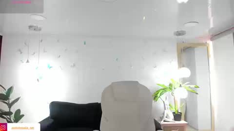 antonnela online show from February 2026 01:43:01 PM