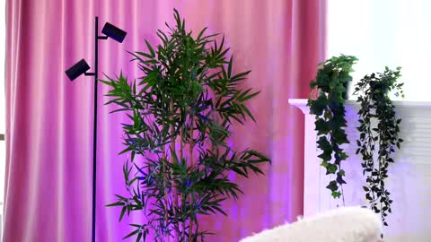 Snapshot of _arielle chatting on December 2024 01:07:02 PM Arielle online show from December 2024 01:07:02 PM