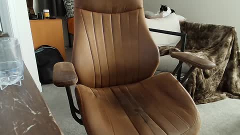 Snapshot of _black_lotus chatting on February 2025 01:34:01 AM _black_lotus online show from February 2025 01:34:01 AM