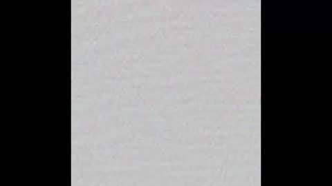 Brenda online show from February 2025 11:31:01 AM