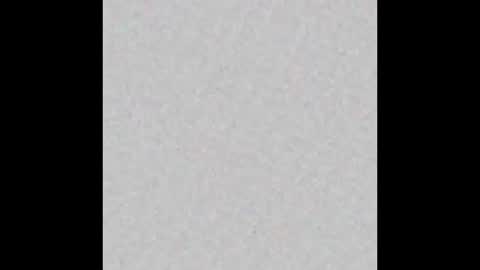 Brenda online show from September 2025 12:16:01 PM