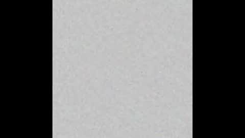 Brenda online show from October 2025 12:03:01 PM