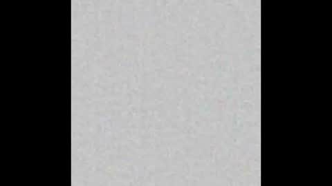 Brenda online show from October 2025 10:12:01 AM