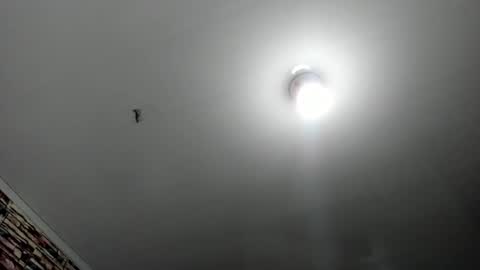 _casandra11 online show from February 2025 03:36:01 AM