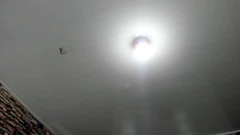 _casandra11 online show from February 2025 12:54:02 AM