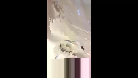 Da d1ck online show from March 2025 06:08:02 PM