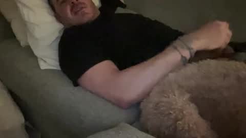 _direwolf_ online show from February 2026 03:45:01 AM