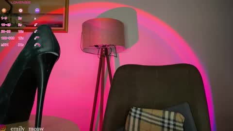 Snapshot of _emily__sweety_ chatting on March 2025 02:34:02 PM Emily online show from March 2025 02:34:02 PM