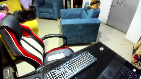 Emma online show from February 2025 12:53:02 AM